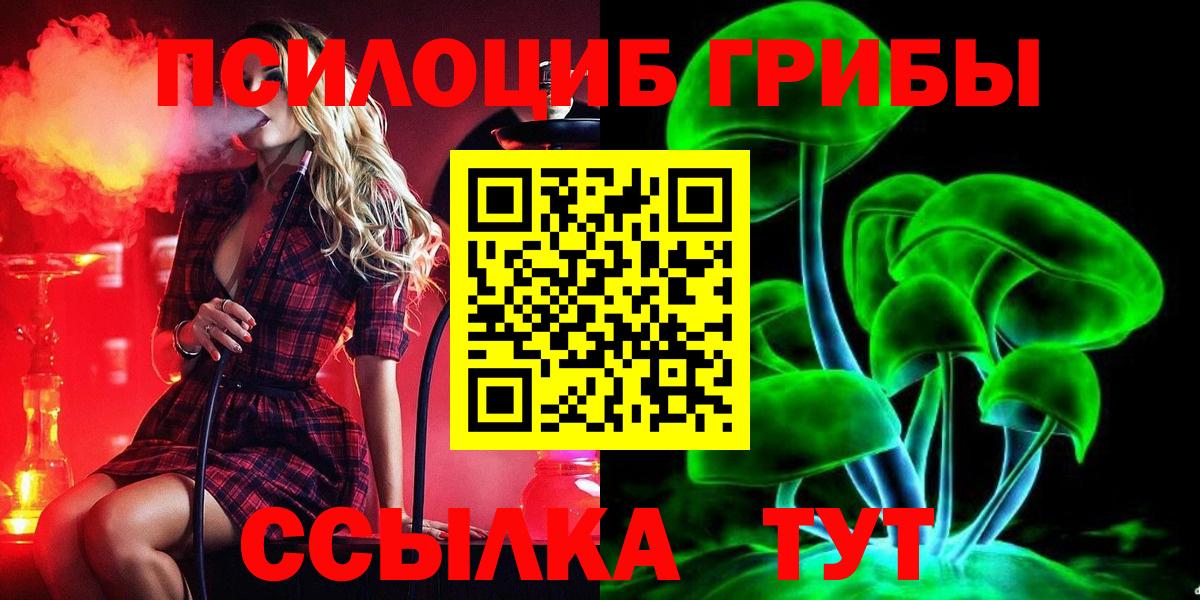 Псилоцибиновые грибы GOLDEN TEACHER  где продают   Галлюциногенные грибы мицелий  Вышний Волочёк 