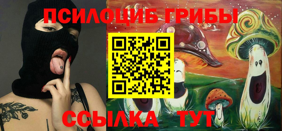 Галлюциногенные грибы мухоморы Вышний Волочёк