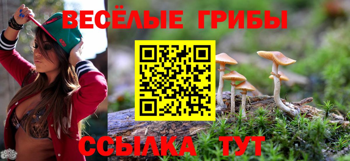 Вышний Волочёк  Галлюциногенные грибы Psilocybine cubensis  Вход с VPN 